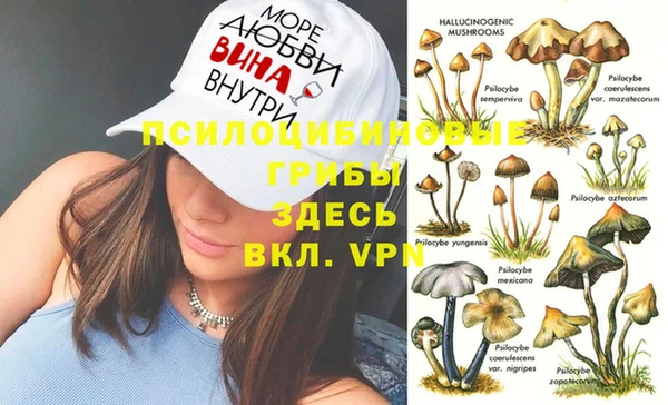 соль курить ск Алексин