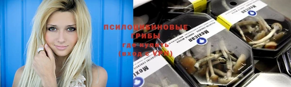 синтетический гашиш Алексеевка