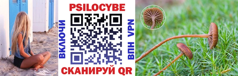 Псилоцибиновые грибы ЛСД  Полысаево 