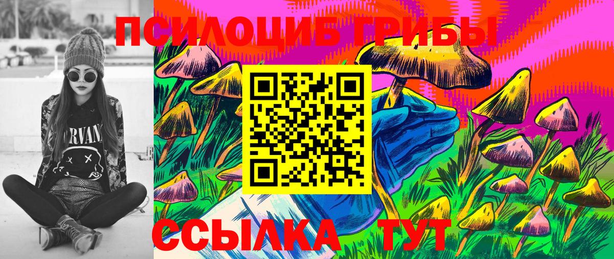 Полысаево  цена   Псилоцибиновые грибы MAGIC MUSHROOMS  Вход с VPN  Галлюциногенные грибы Magic Shrooms 