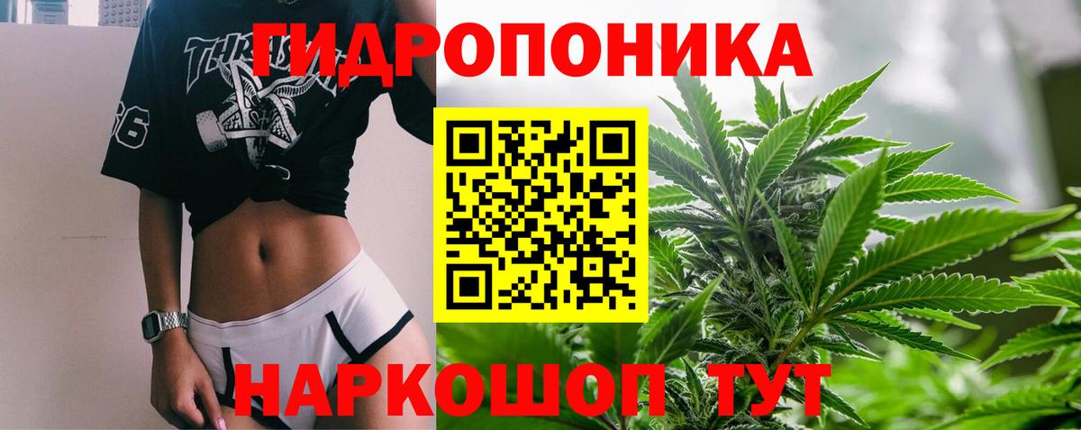 Каннабис Ganja  МАРИХУАНА гибрид  Полысаево  Вход с VPN  Каннабис OG Kush 